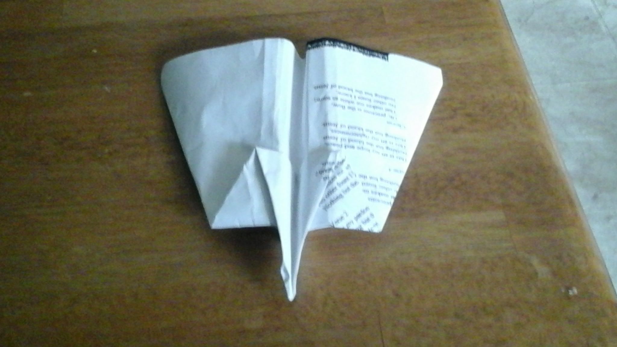 My Paper Airplane ☺