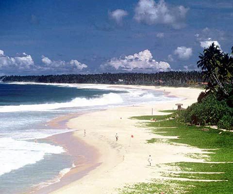 How to Plan a Day Tour in Bentota