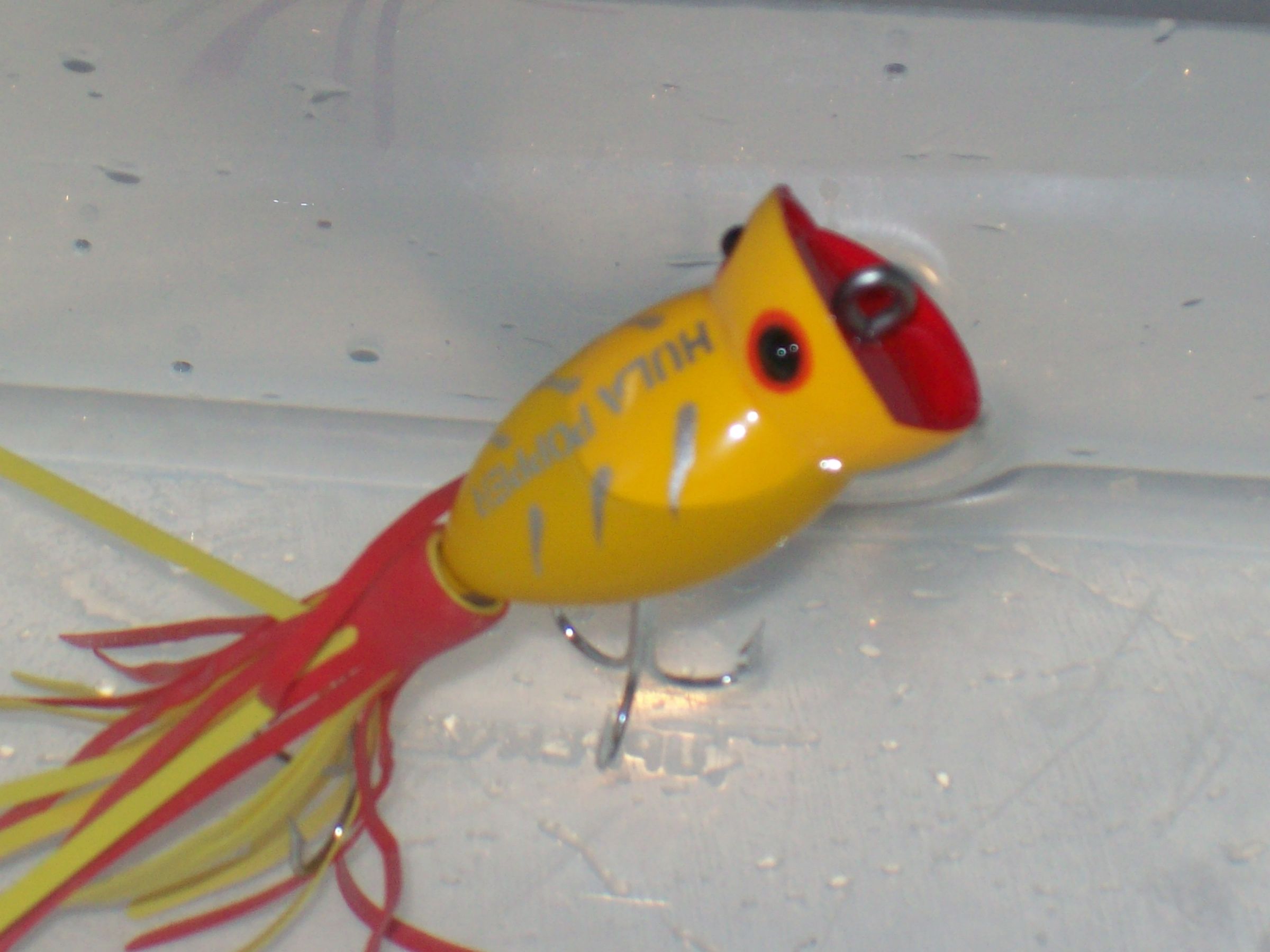 Under the Skirt of a Hula Popper.