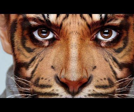 Transform Yourself Into an Animal in Photoshop!