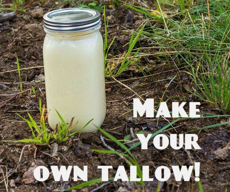Making Beef Tallow (with a slow cooker)