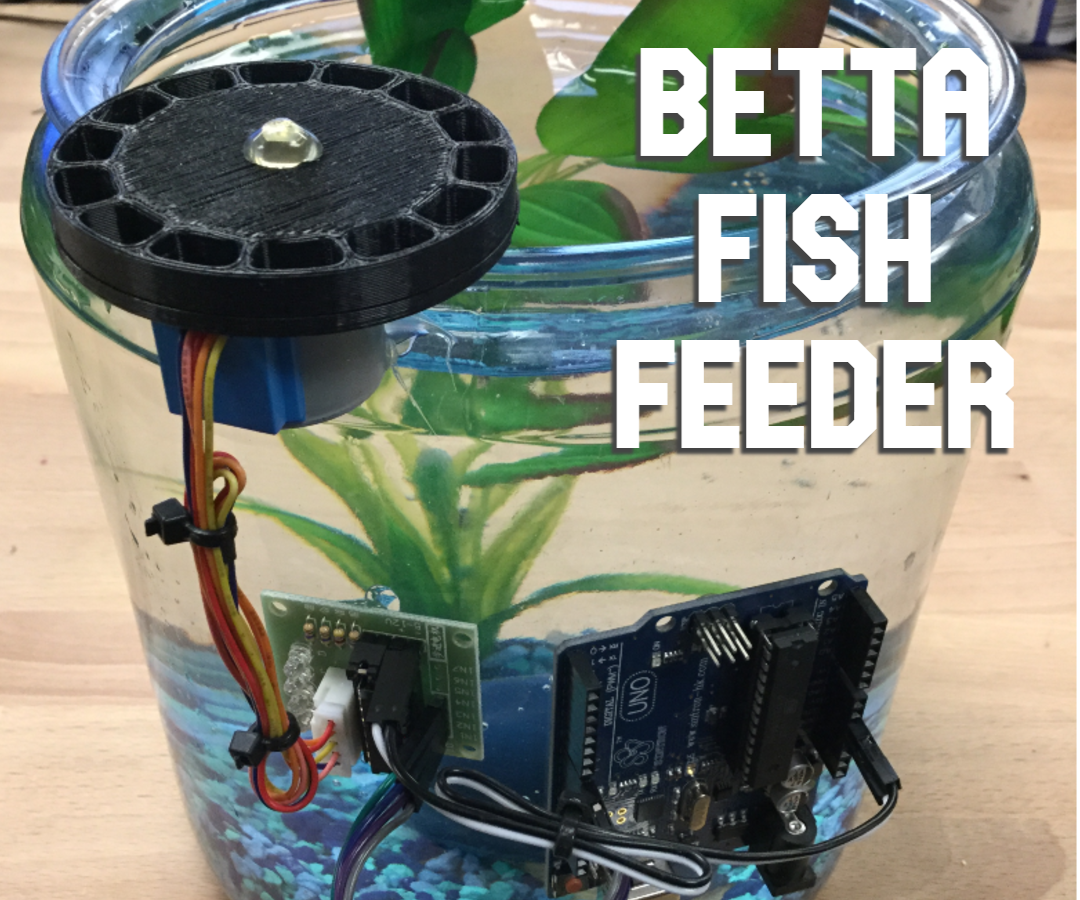 Betta Fish Feeder 6 Steps (with Pictures) Instructables
