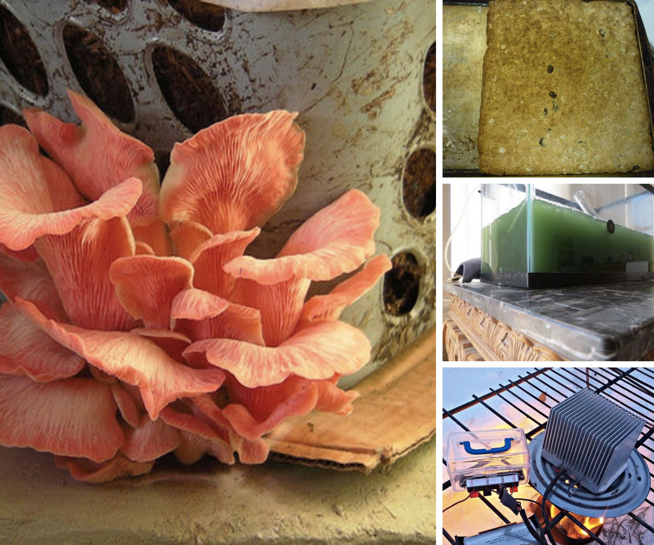 Outdoor Self Reliance