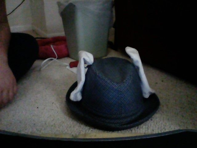 Bunny Ear Hat Secret Compartment