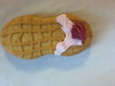 Nutter Butter Flip-Flops
