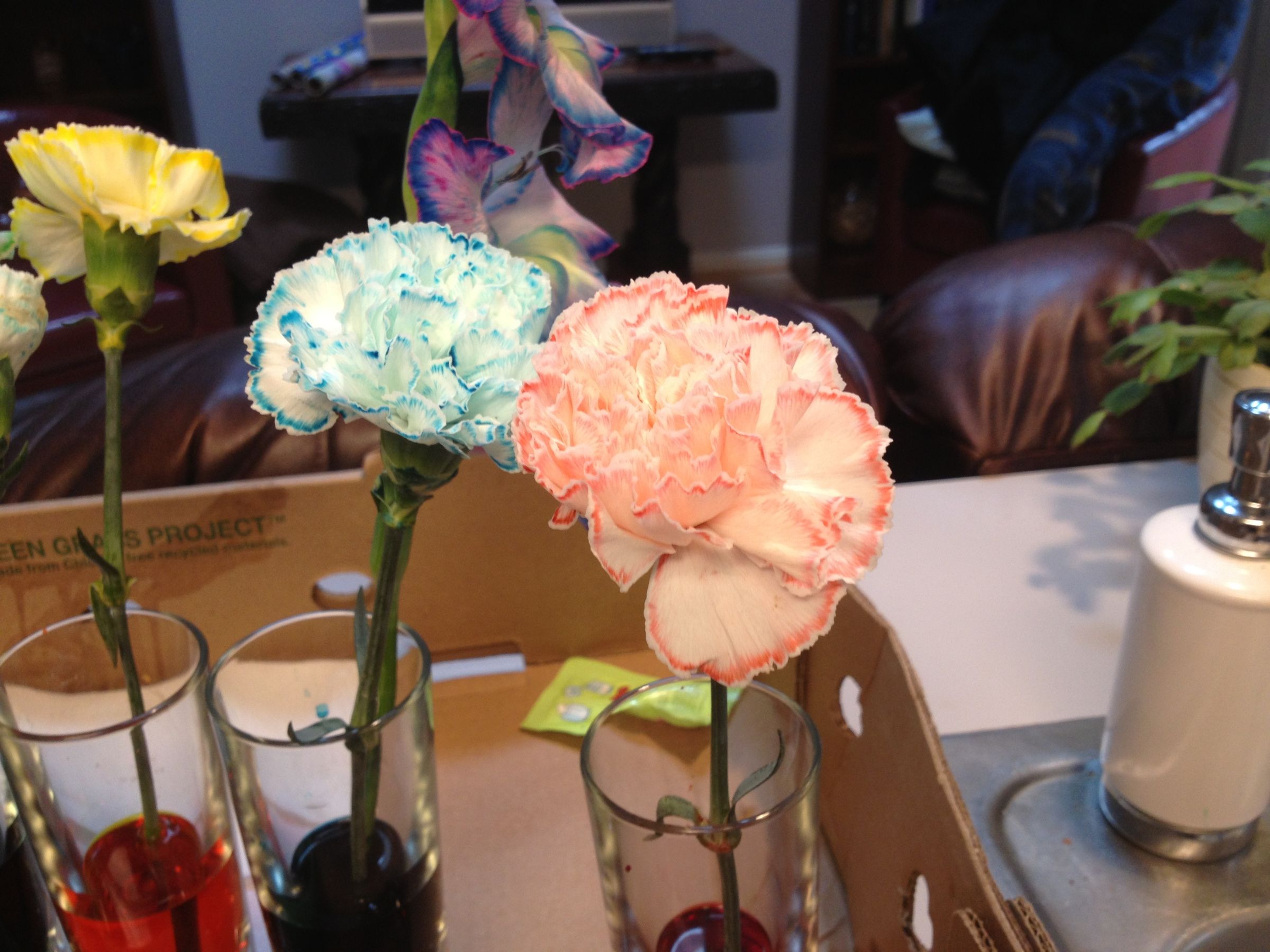 Coloring Flowers