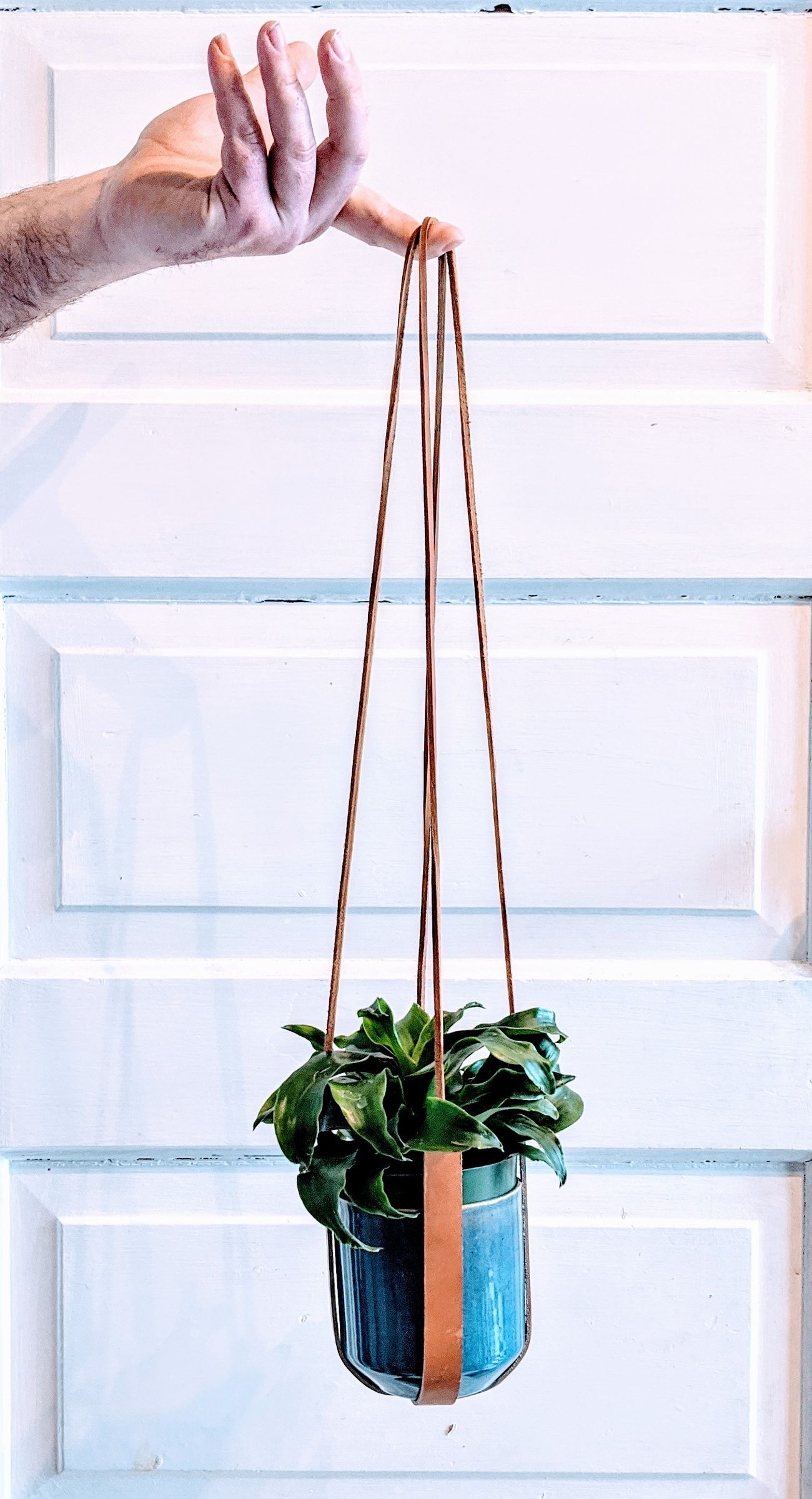 Make Your Own Leather Plant Hanger : 4 Steps (with Pictures) - Instructables