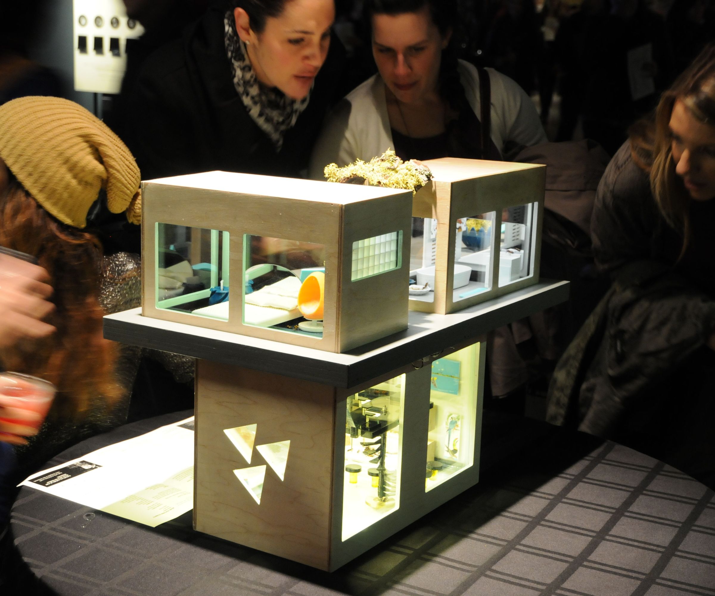 Love Nest - milkweed bug condo