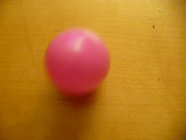 Egg-siting Egg-speriment