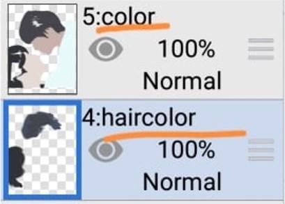 Add New Layer and Rename : Color/ Haircolor