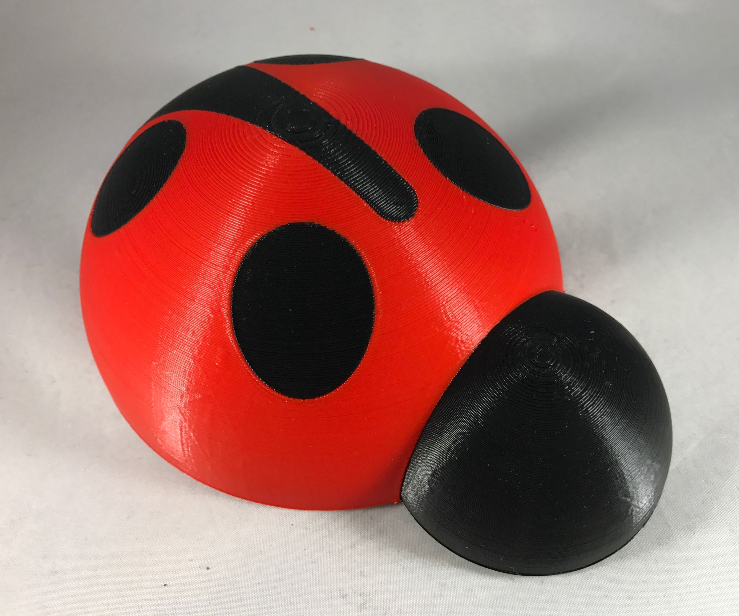 Lady Buggy, WiFi Edition