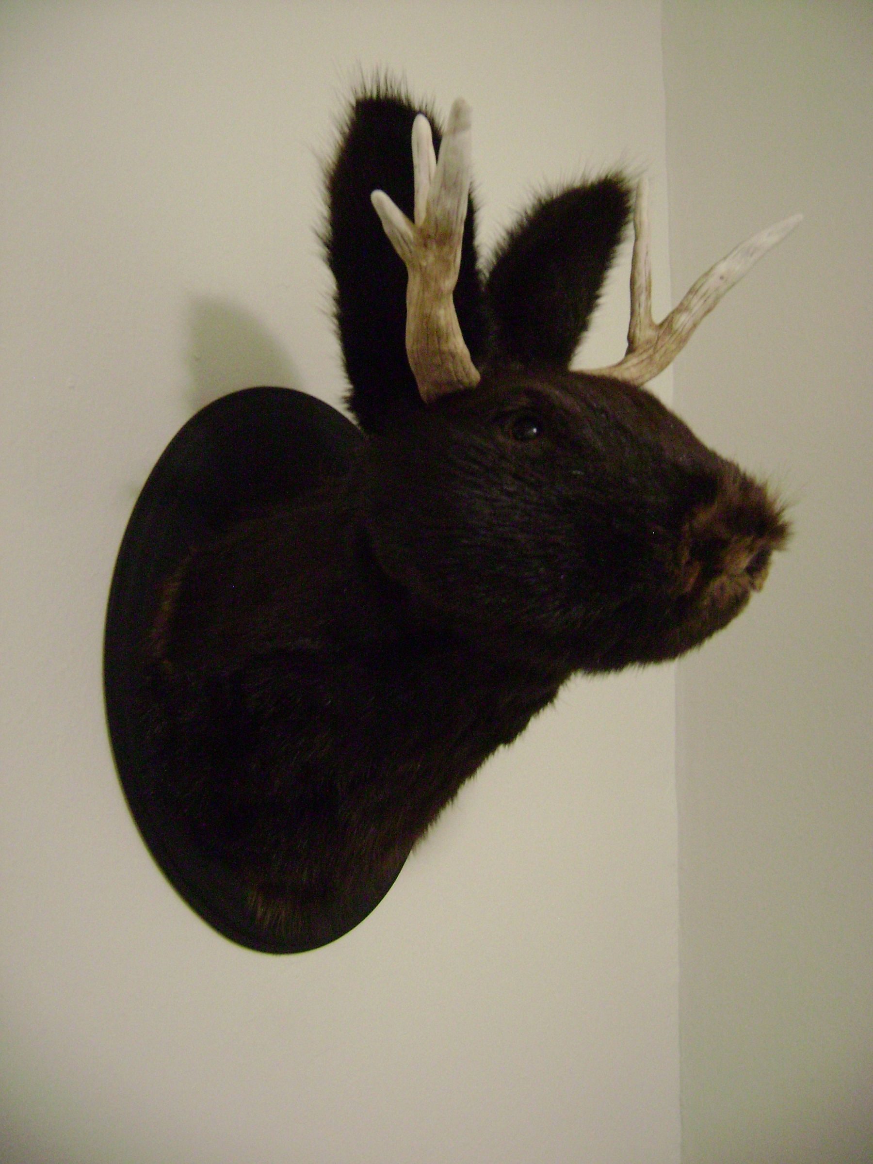 Jackalope Wall Mount