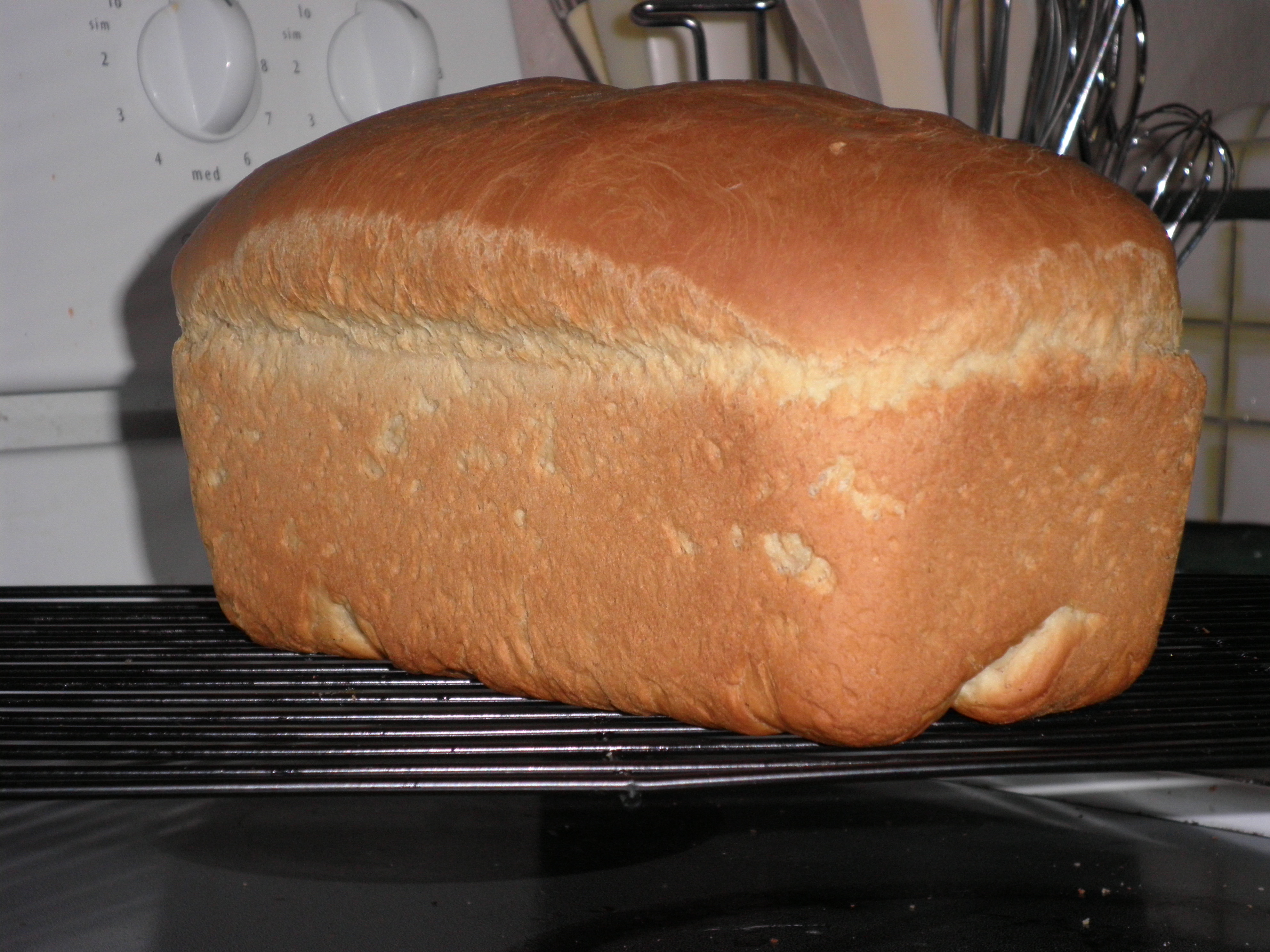 Grandma Warren's Whole Wheat Bread
