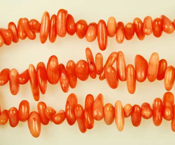 Coral Bamboo, Branch Shape