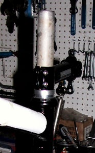 Stem