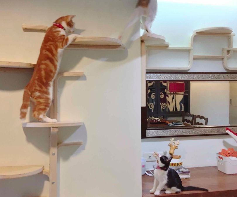 Cat Tree by Frosta X 6 Steps Instructables