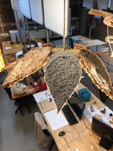 Smart Light Bio-Material