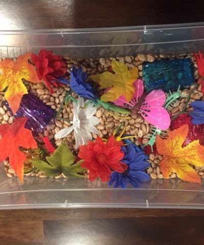 In the Garden: Sensory Bin for Kids