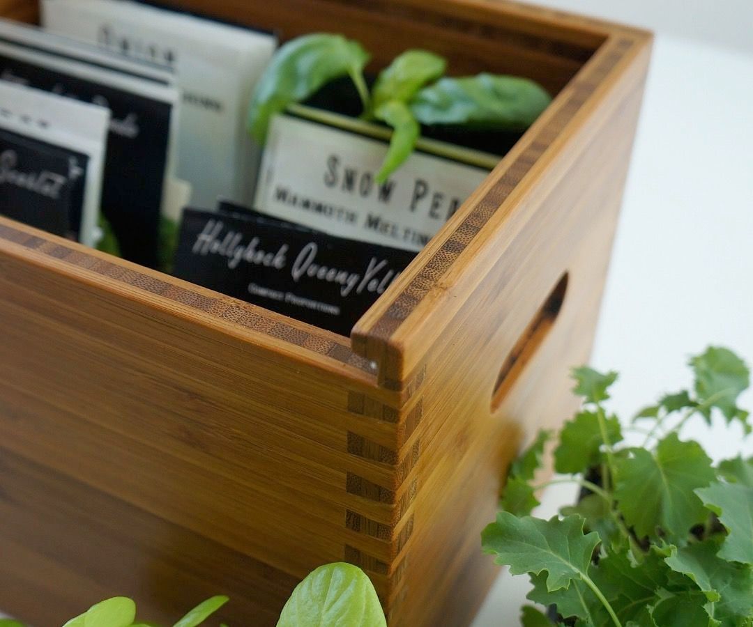 Seed Box With Mini Dovetails in Plyboo