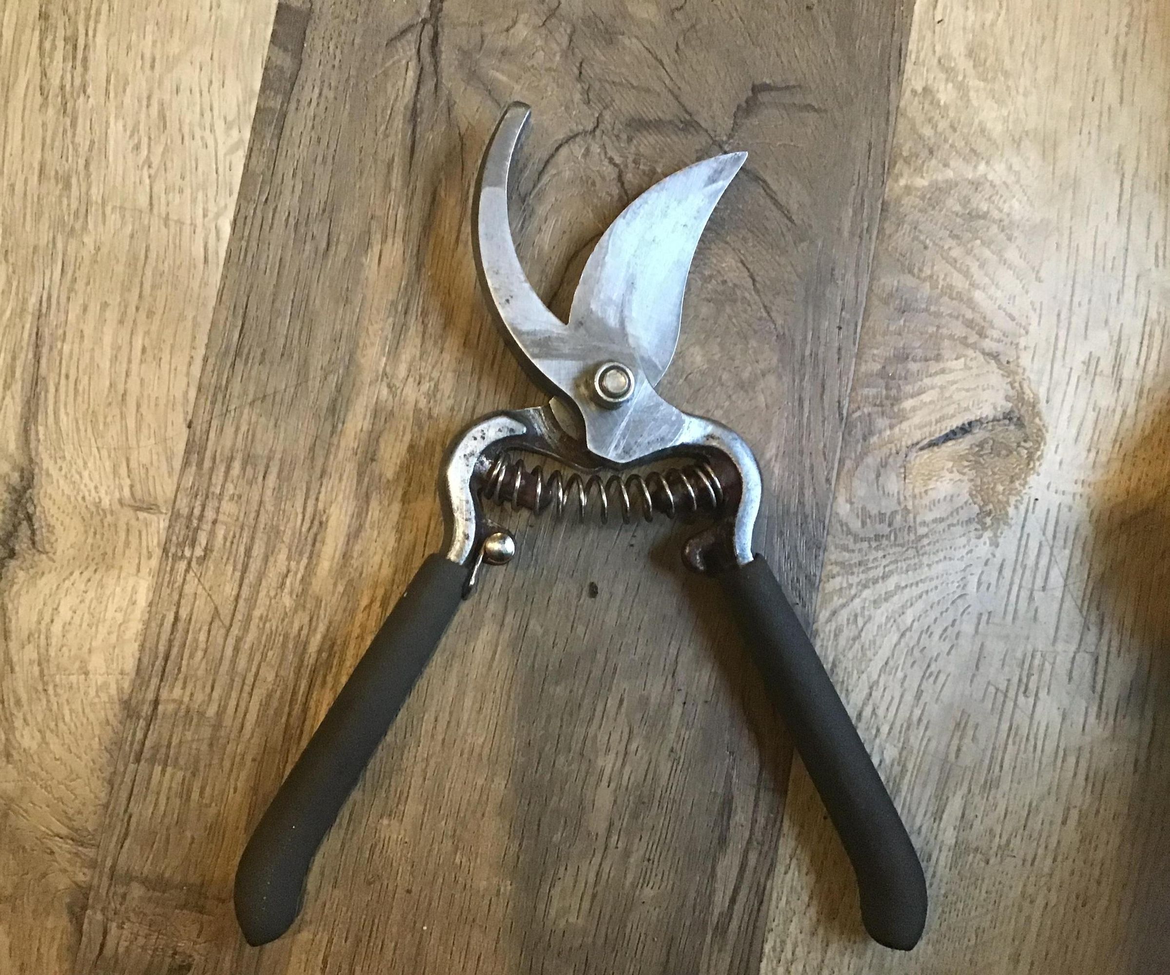 How to Remove Rust From Garden Tools!!!