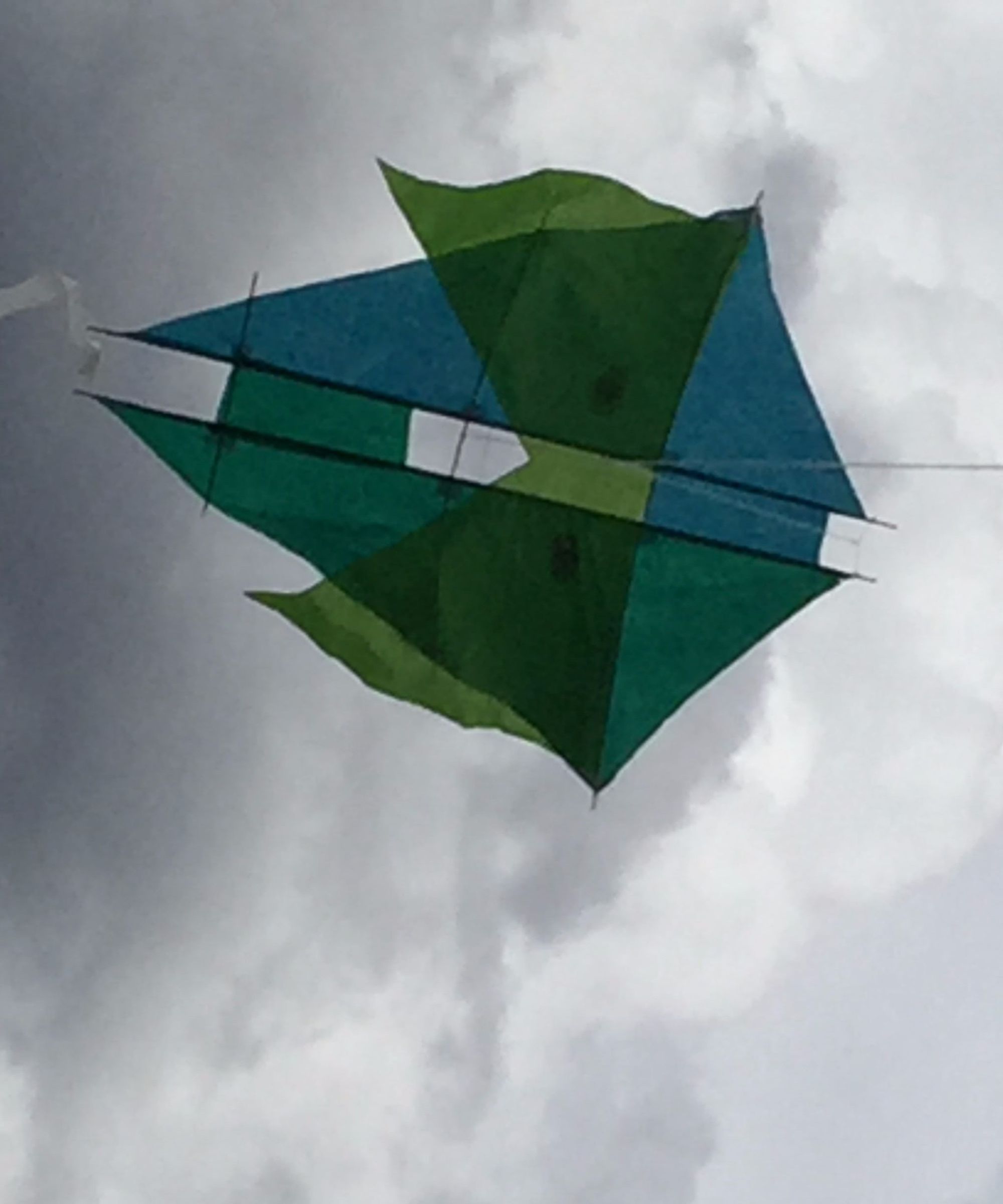 Ninja Modified Barn Door Kite By: Tyler and Tigger