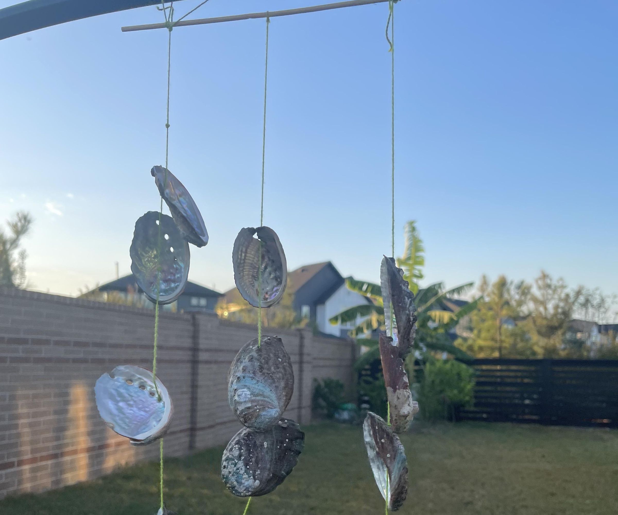 Abalone Shell Windchimes