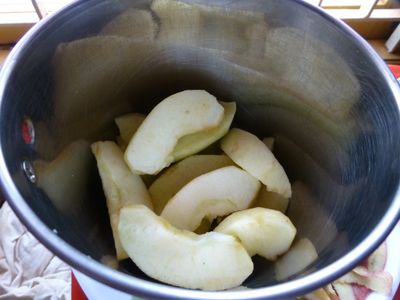 Make Apple Paste