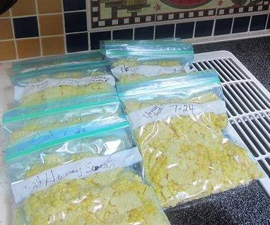 The Best Way to Freeze Corn 