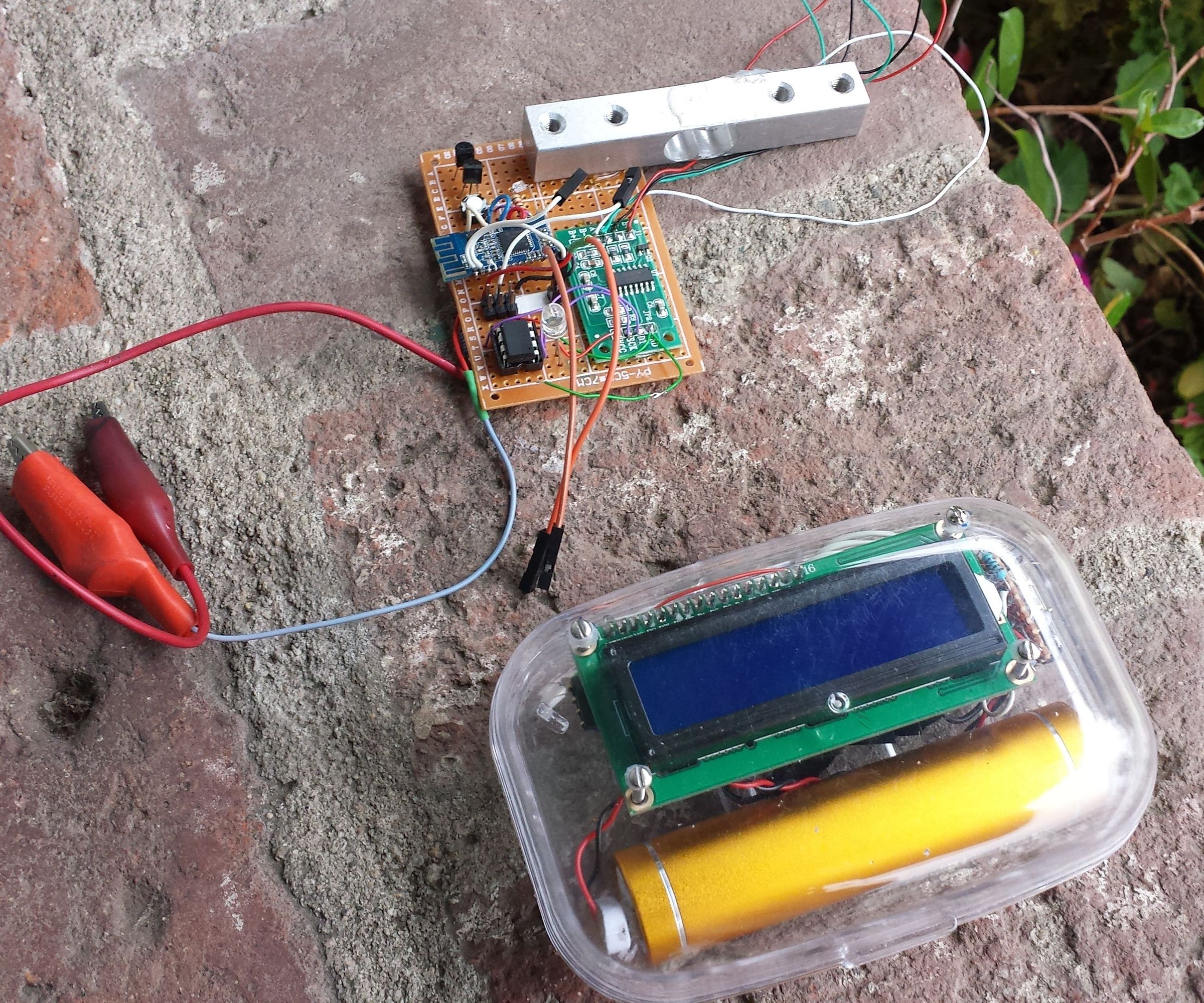 Wireless Digital Scale