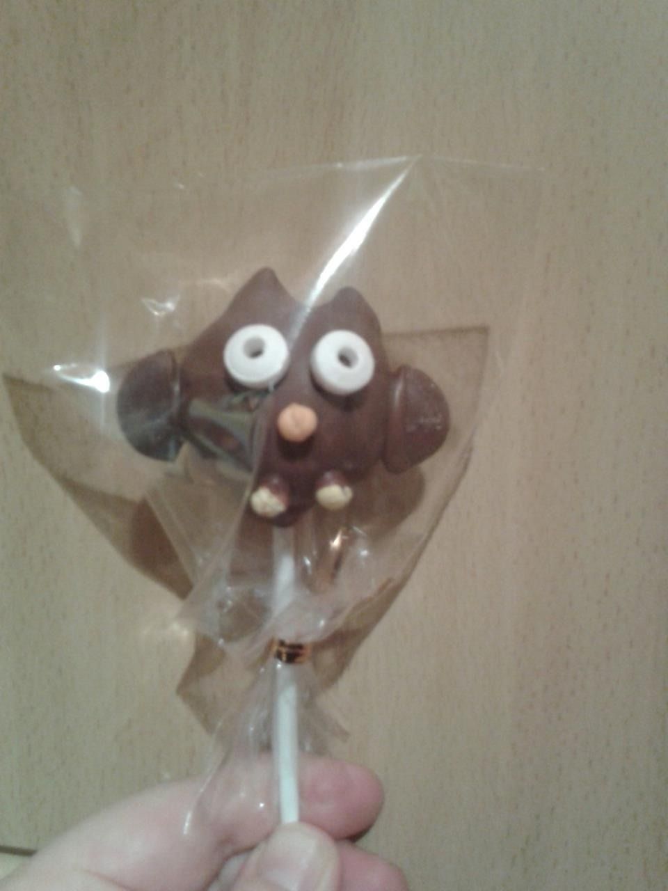 Owl Cakepops