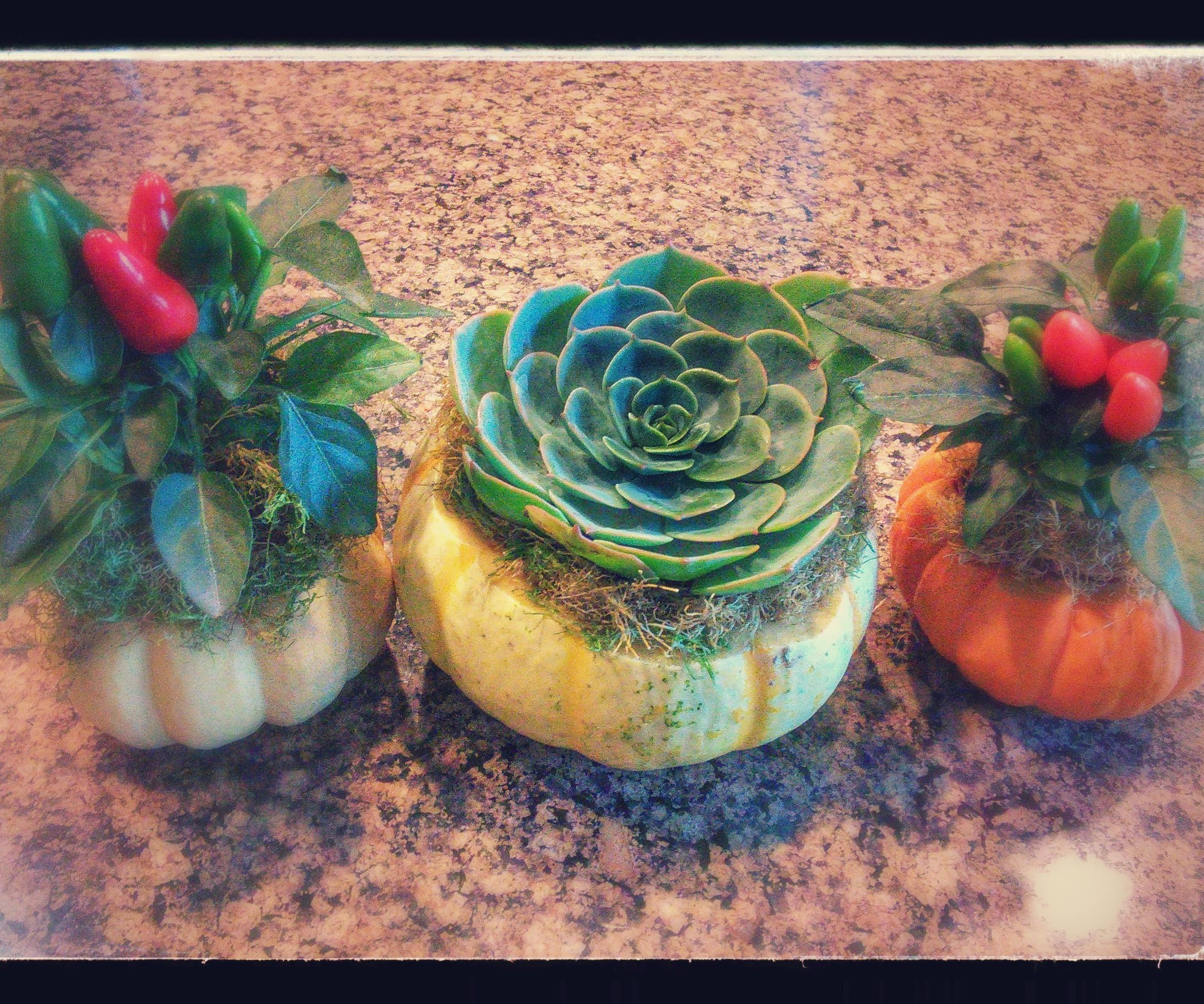 Fall Pumpkin Centerpiece/ Planters/ Gift