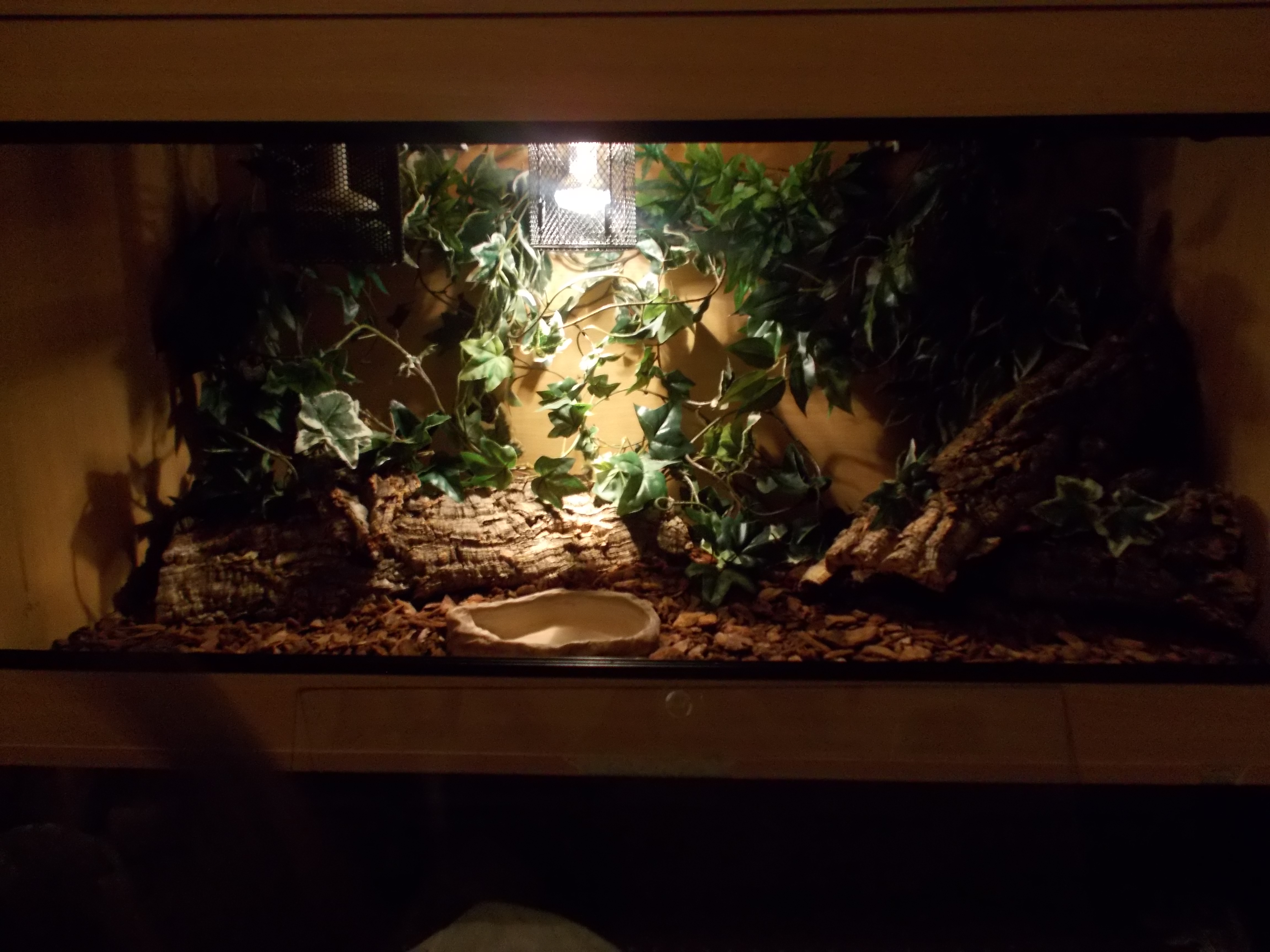 How to Setup a Snake Viv 13 Steps Instructables