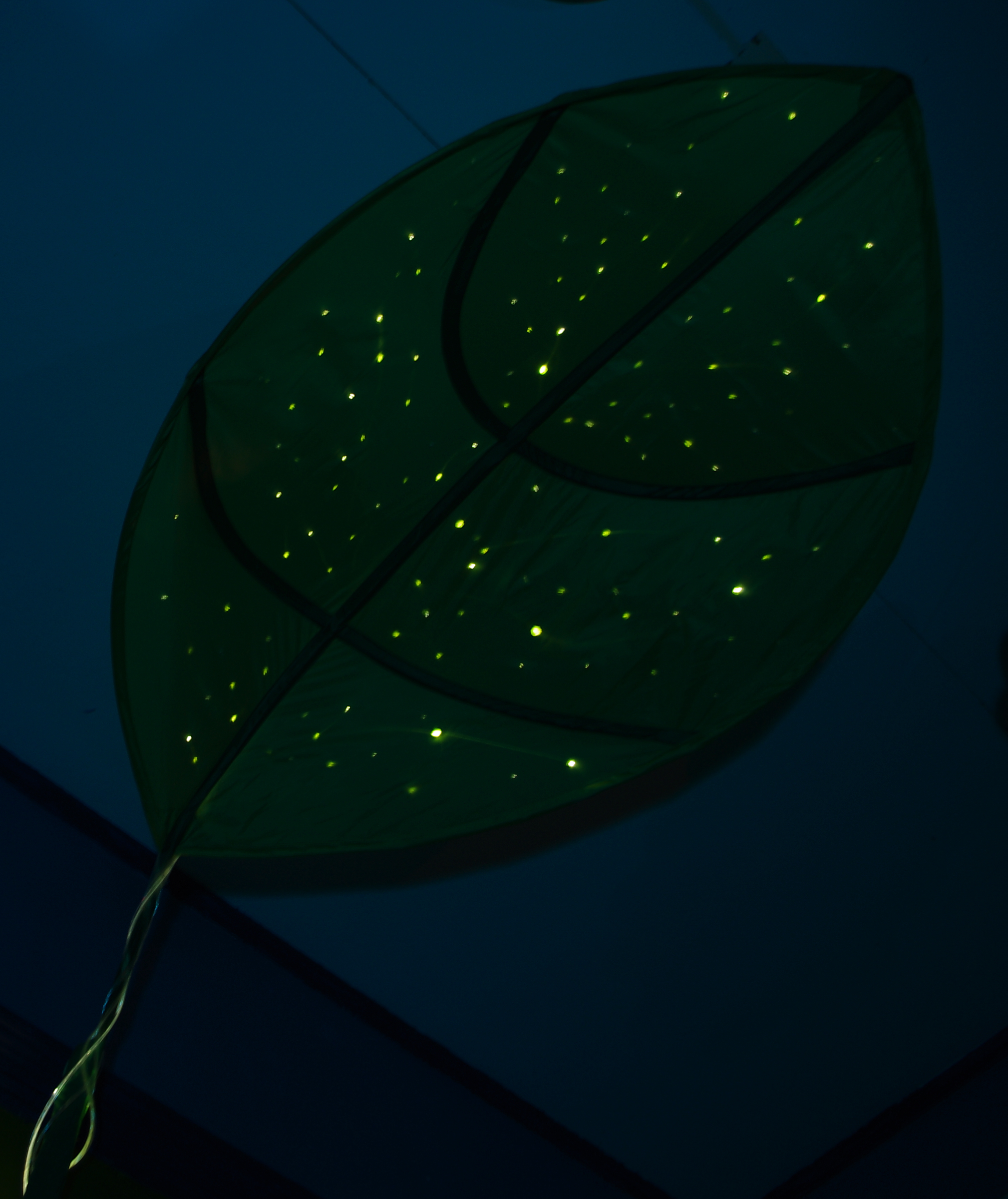 Giant Leaf Planetarium