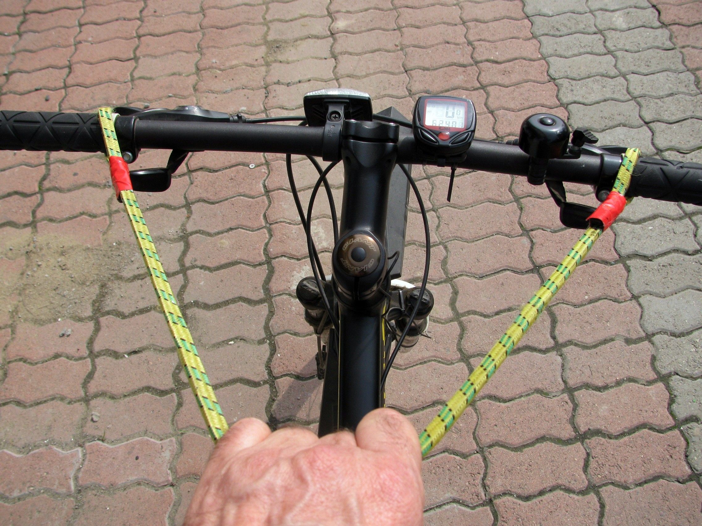 Bike Reins
