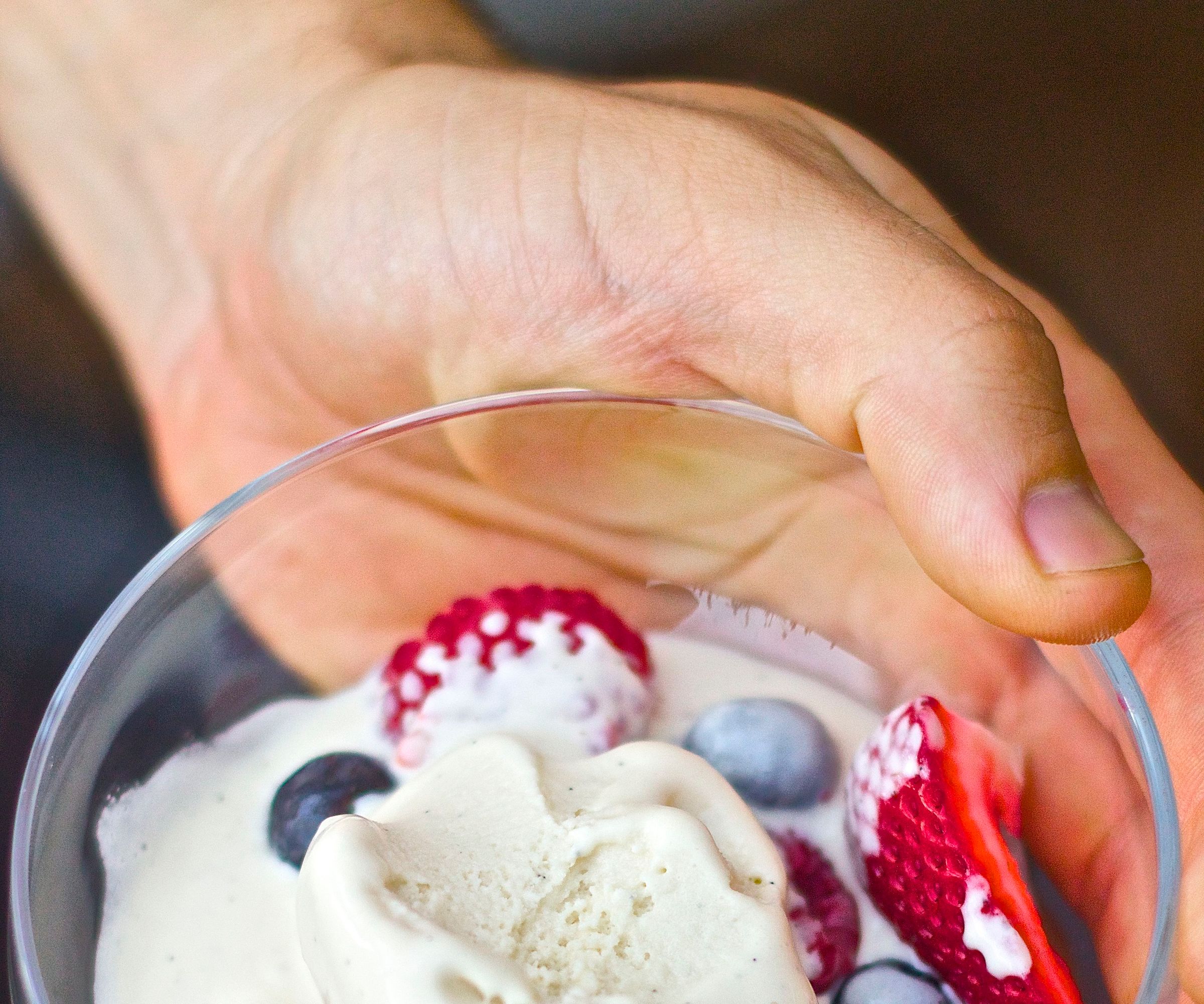 Dairy-Free Vanilla Bean Ice Cream