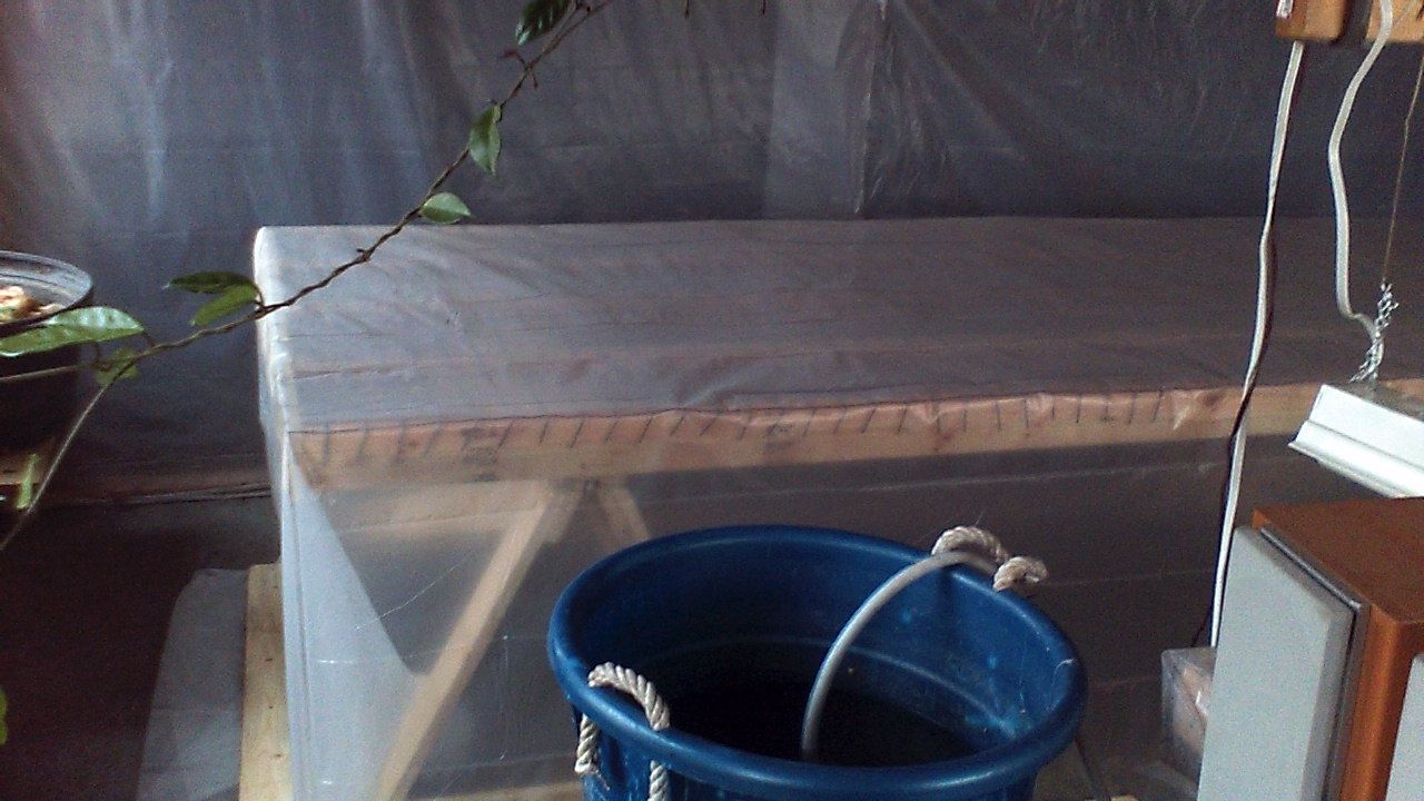 Heated Seed Propagation Table