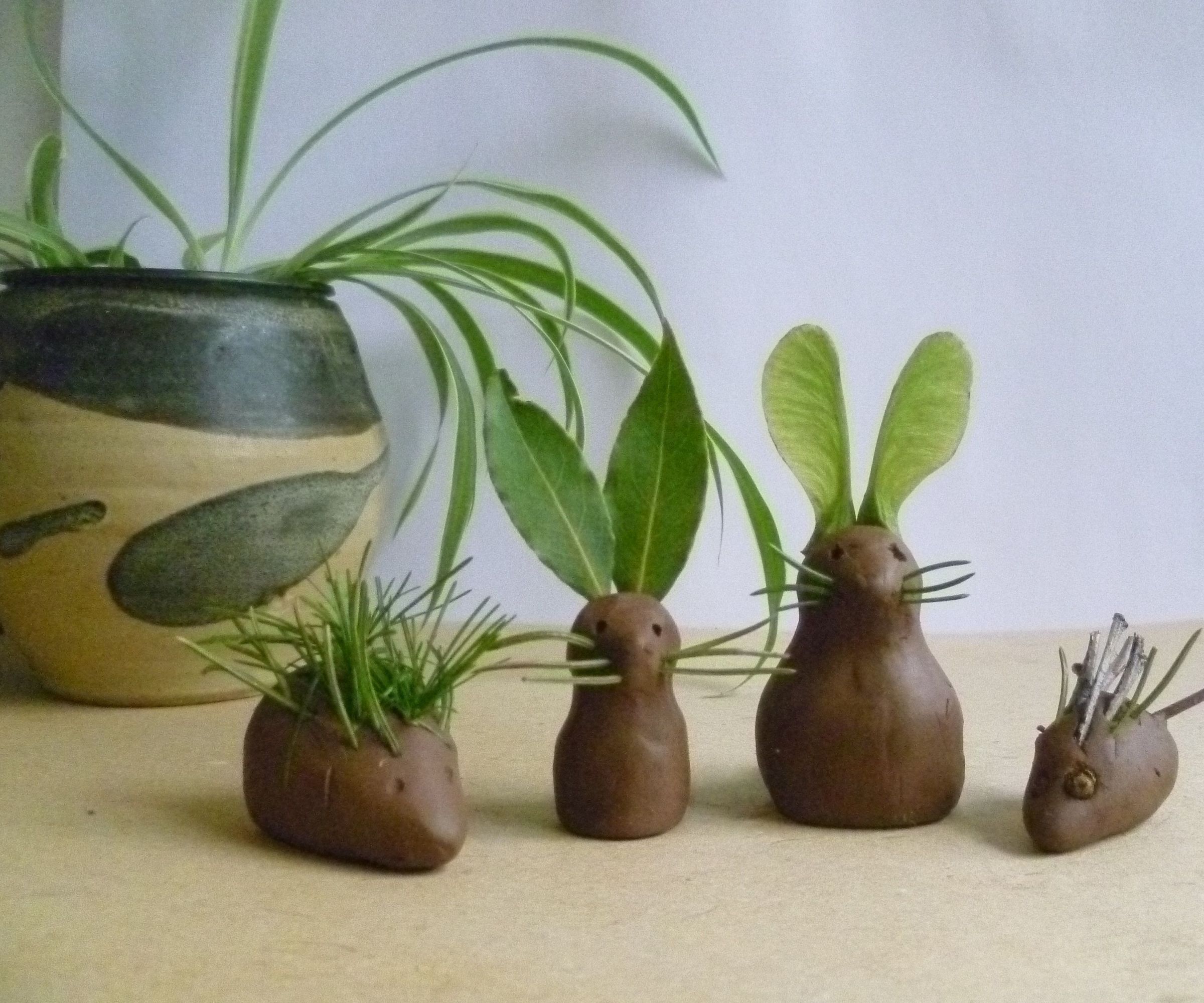 Clay Modelling - Woodland Creatures