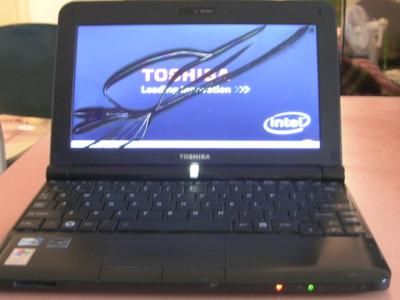 DIY Repair/Replace Broken Lcd Screen - Toshiba NB200