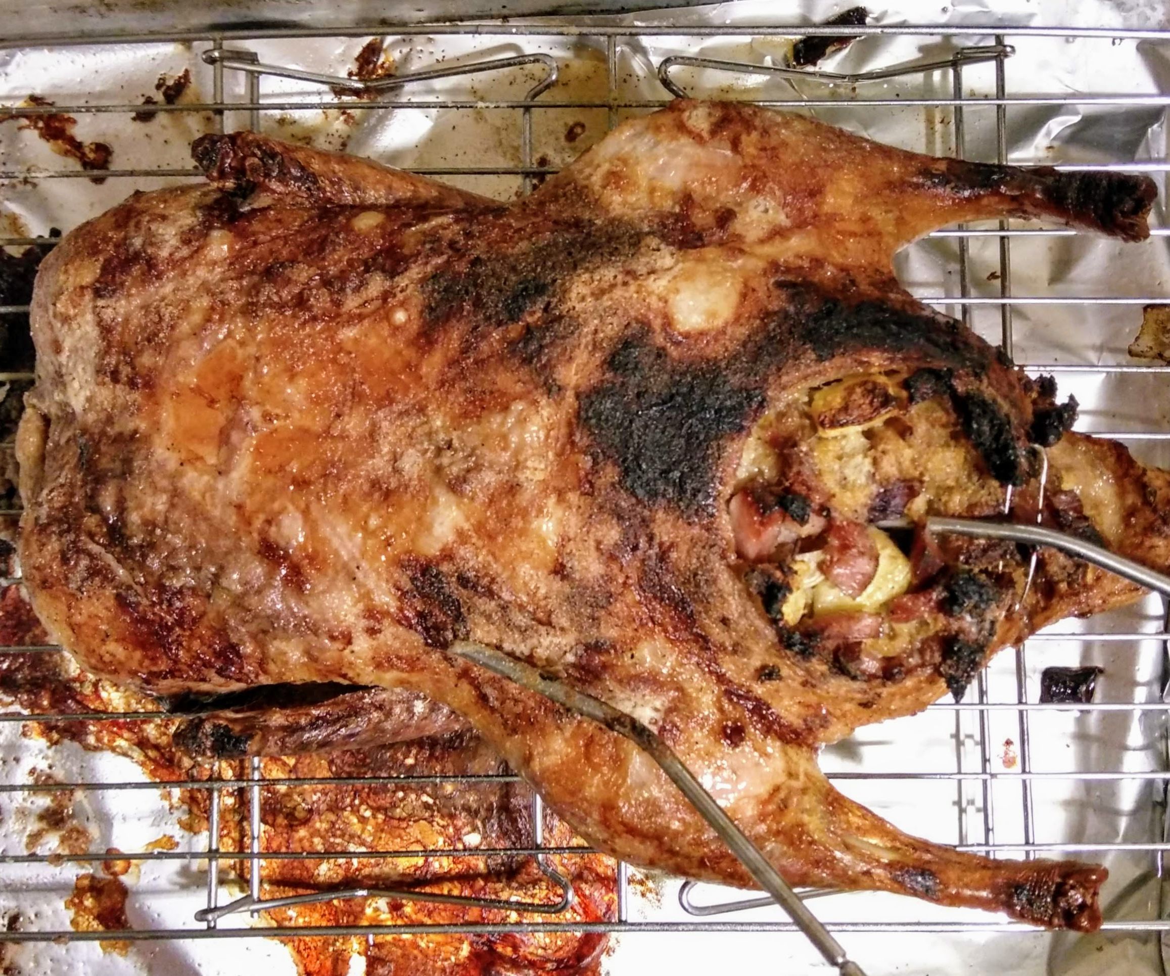Duck Stuffing