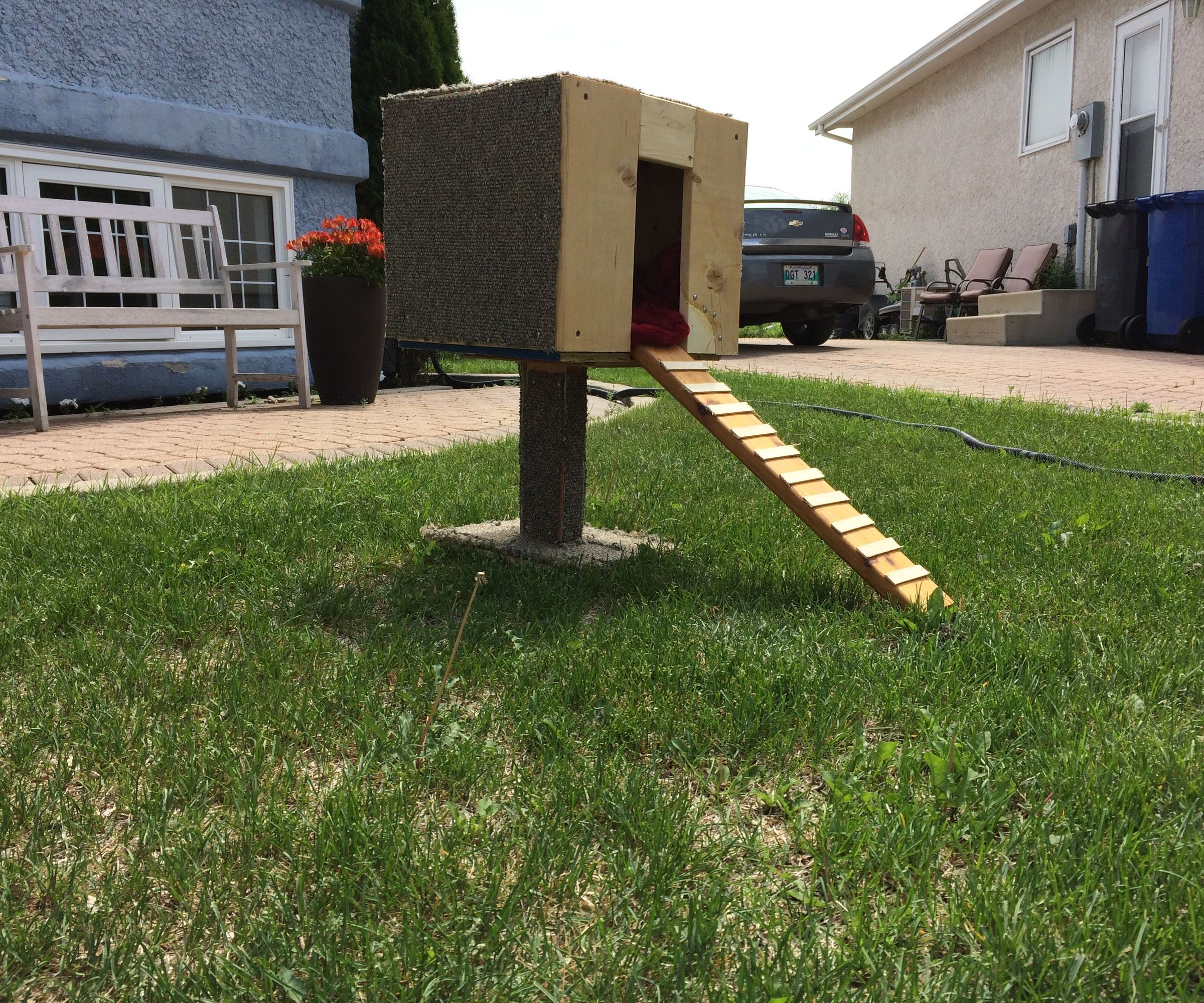 Kitty Cat House