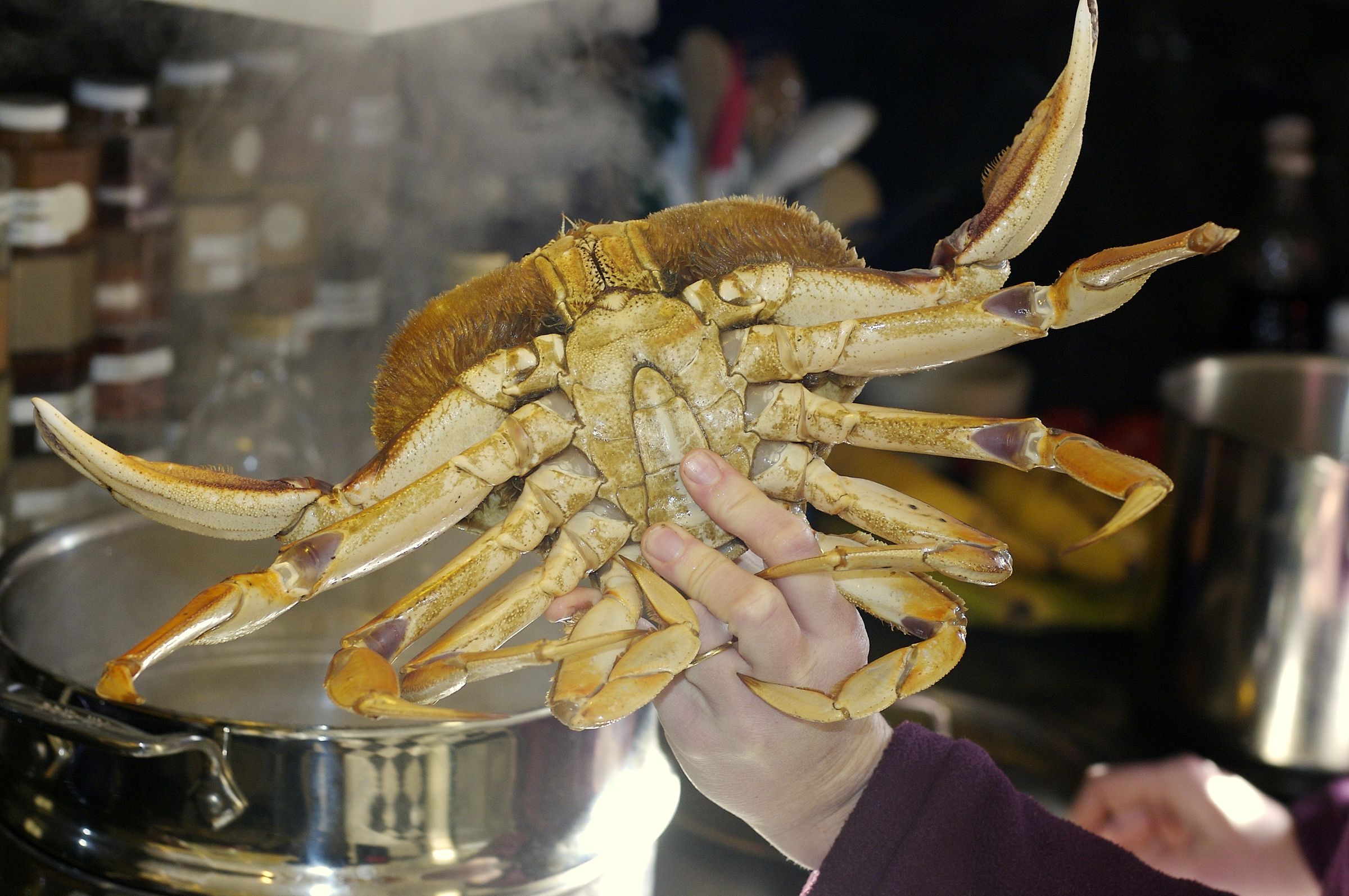 how to clean dungeness crab after cooking