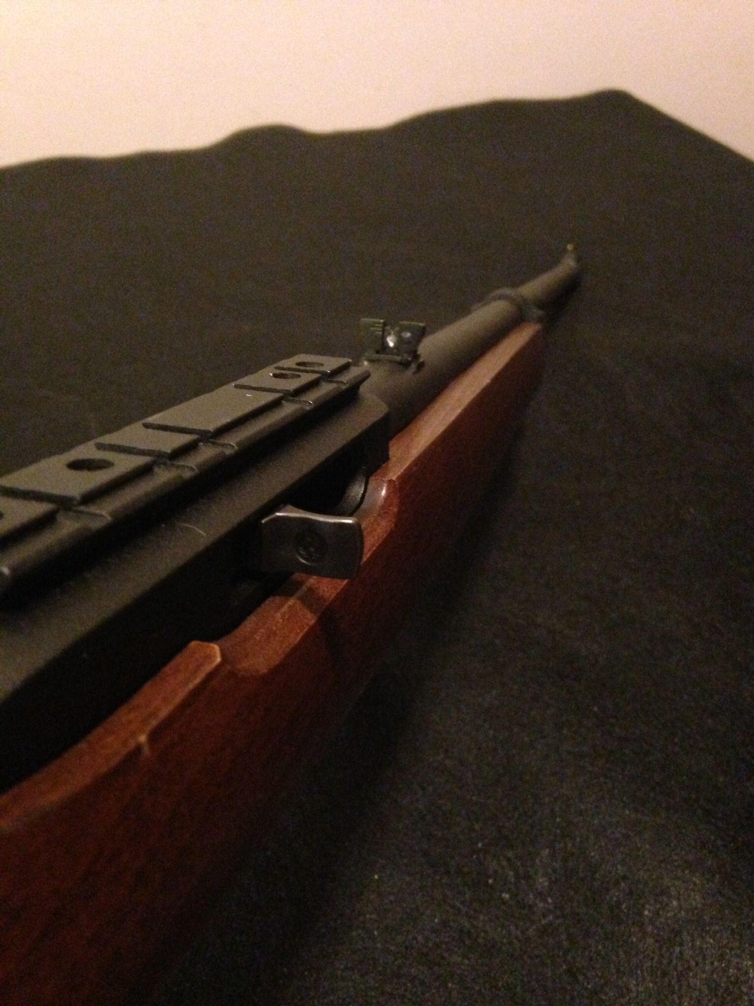 Ruger 10/22 Mod