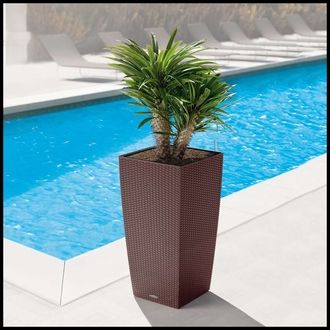 Self Watering Planters -Chic Functional Styles Create a Versatile Statement