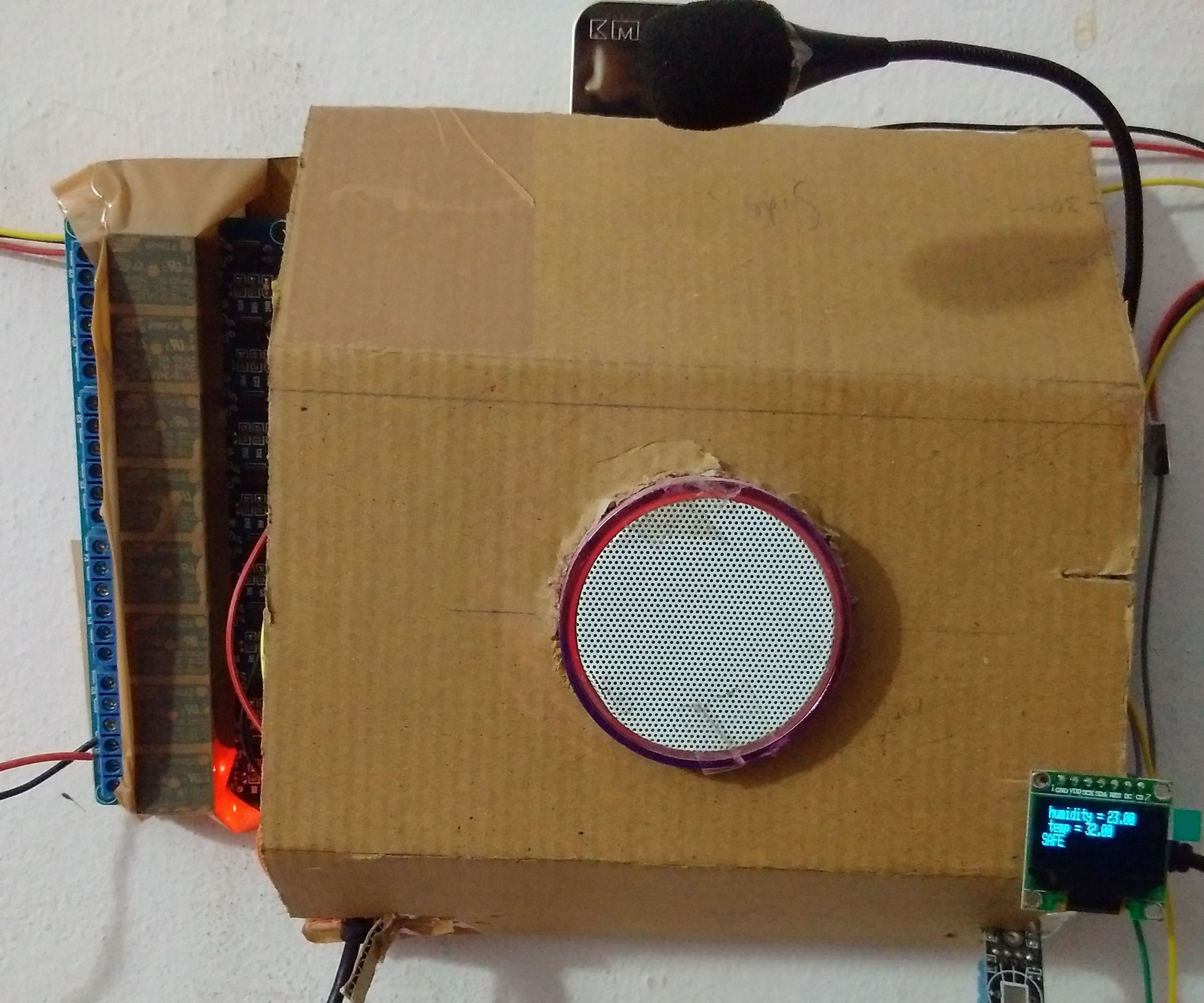 Own Version of Amazon Echo