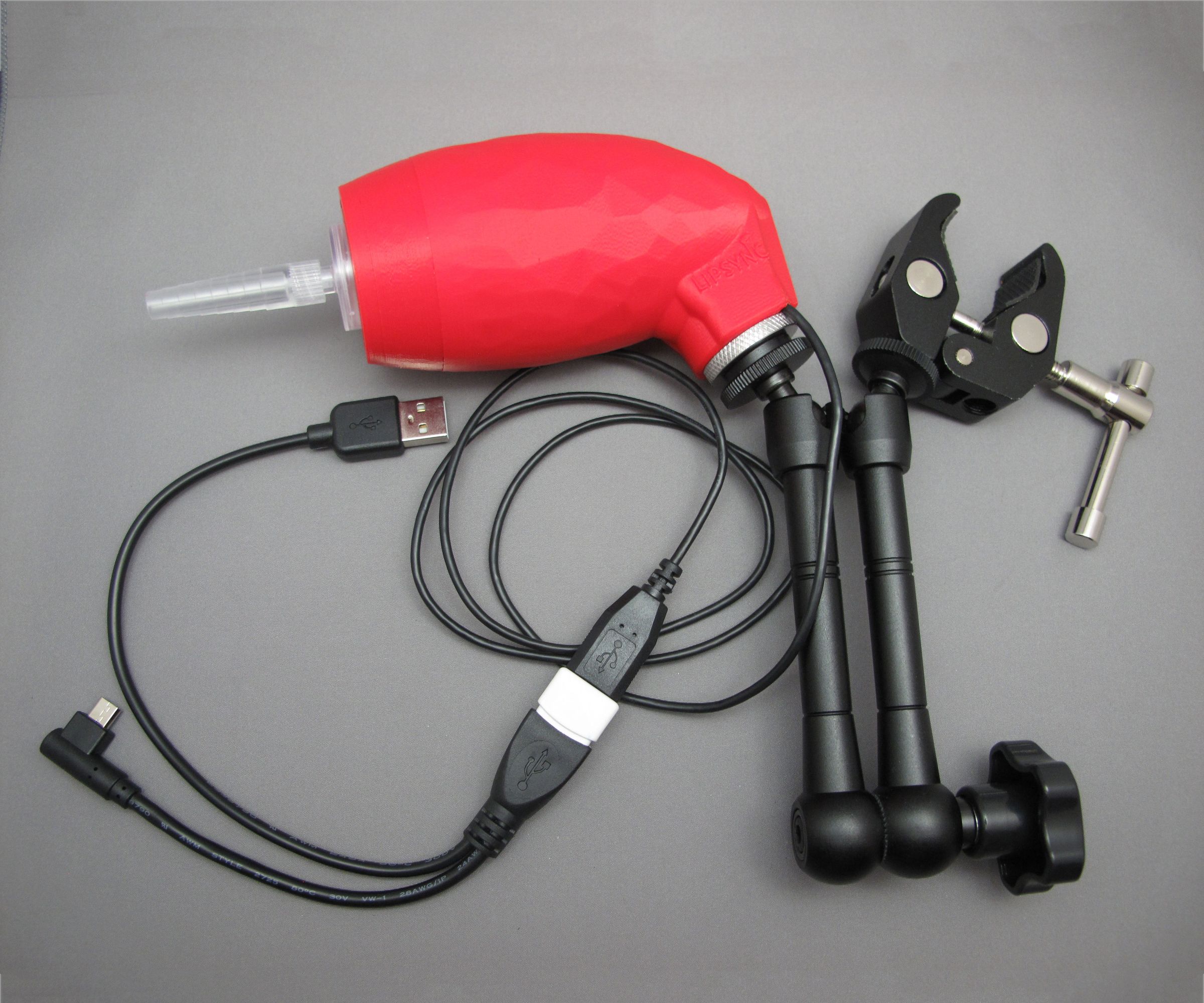 How to Build a LipSync