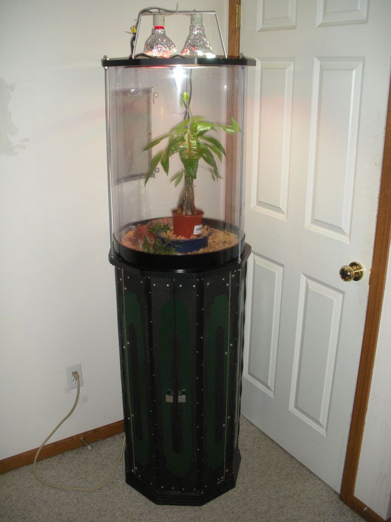 Nonagon Cabinet With Gecko Habitat