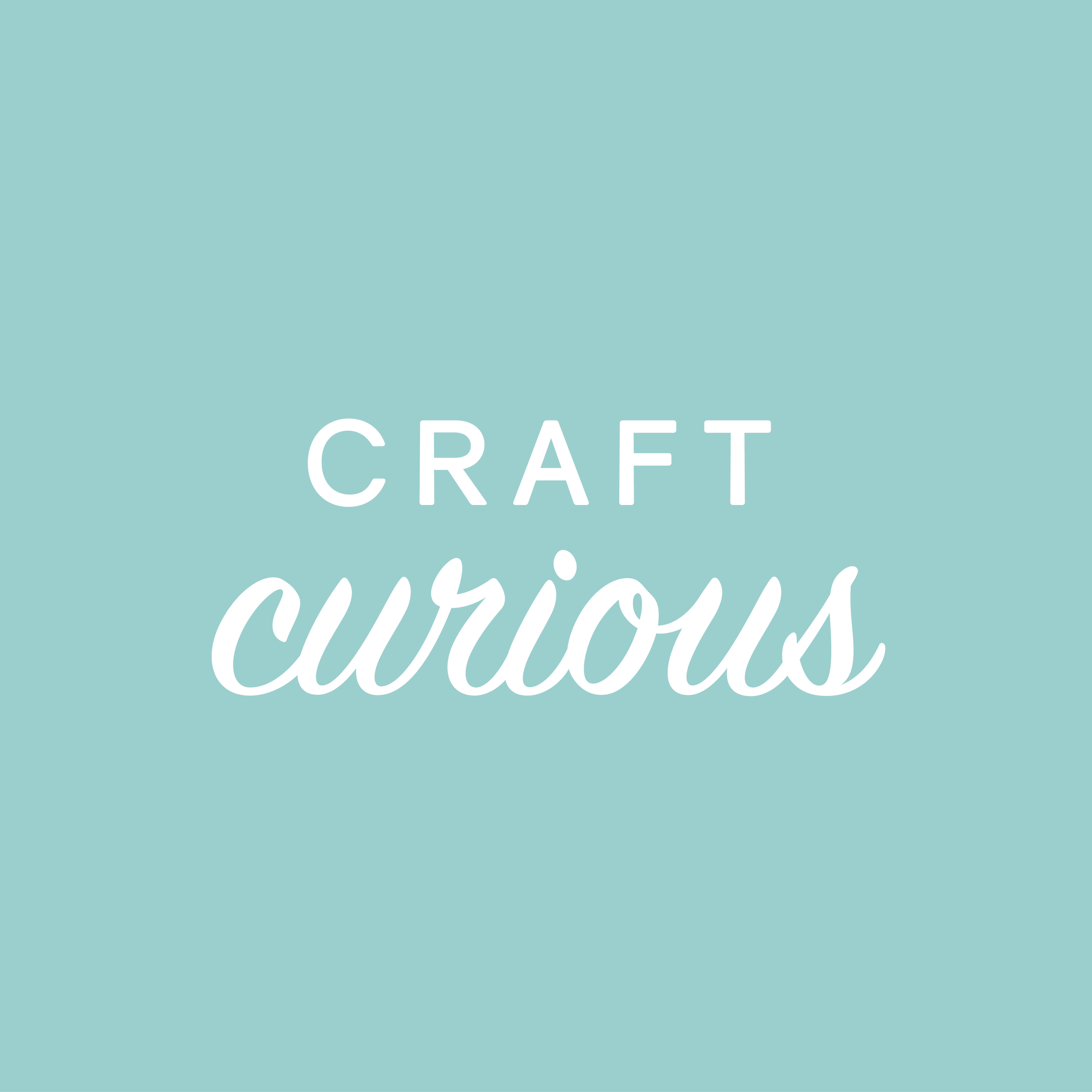 Craft Curious