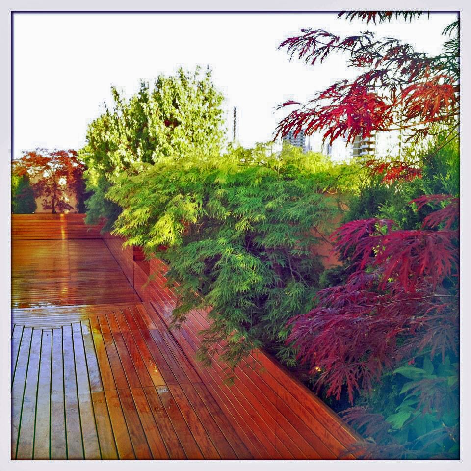 Rooftop Garden Design: Ohm Sweet Ohm