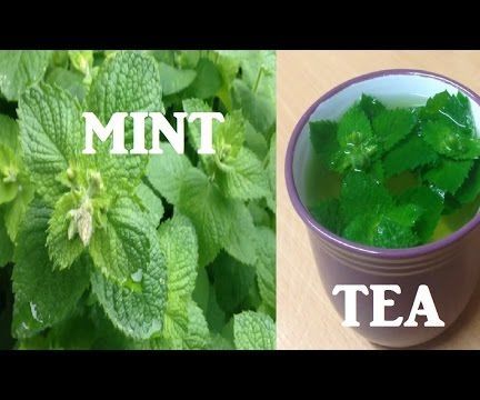 Fresh Mint Tea
