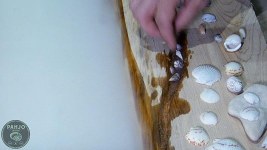 How to Set Seashells in Resin : 10 Steps (with Pictures) - Instructables